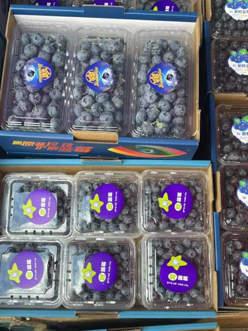 澄江千亩蓝莓发全国
