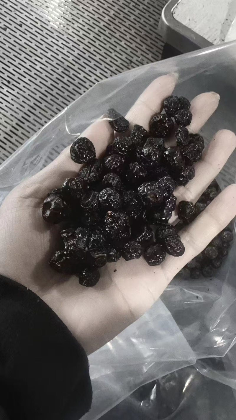 正宗东北蓝莓干，无糖无油100吨大货现存。