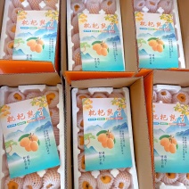 枇杷支持一件代发
