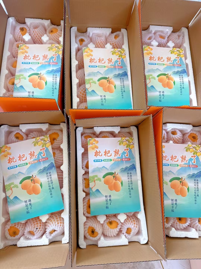 枇杷支持一件代发