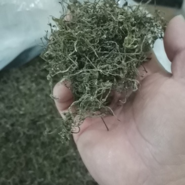 莓茶