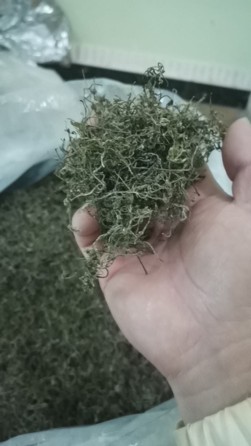 莓茶
