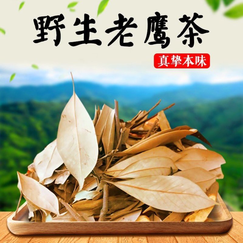 老鹰茶