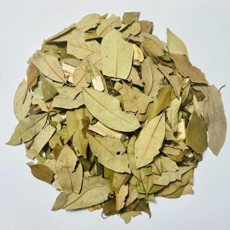 老鹰茶