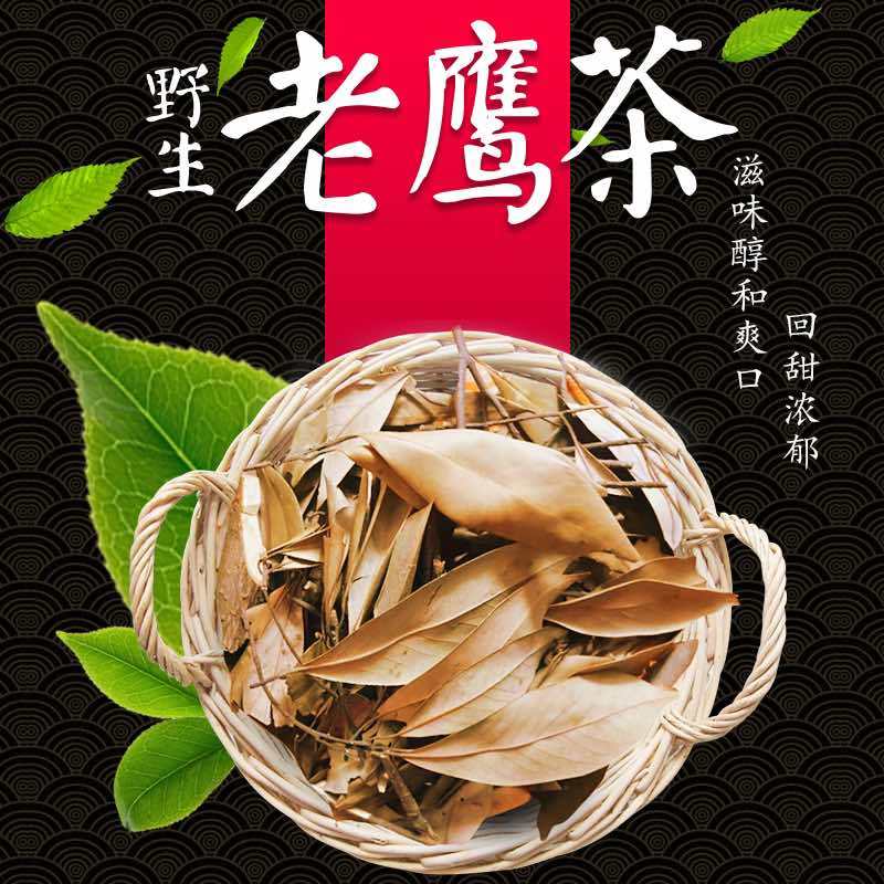 老鹰茶