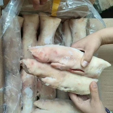 猪蹄