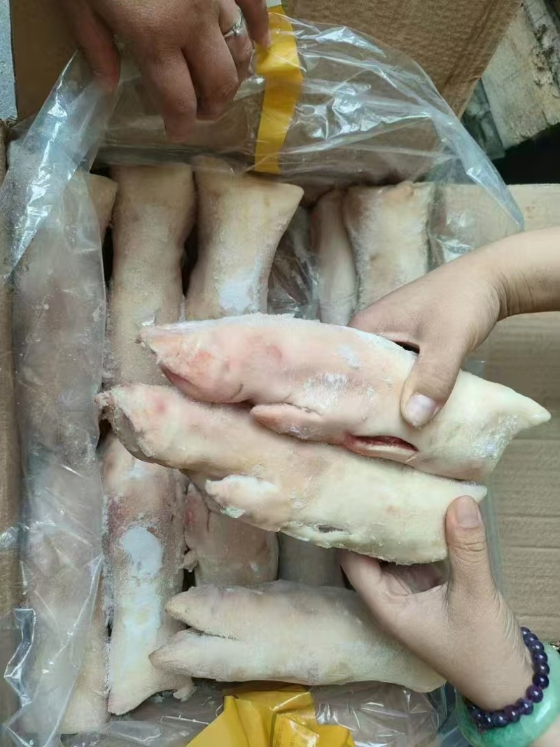 猪蹄