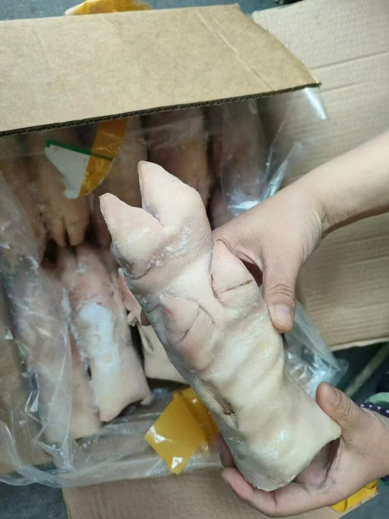 猪蹄
