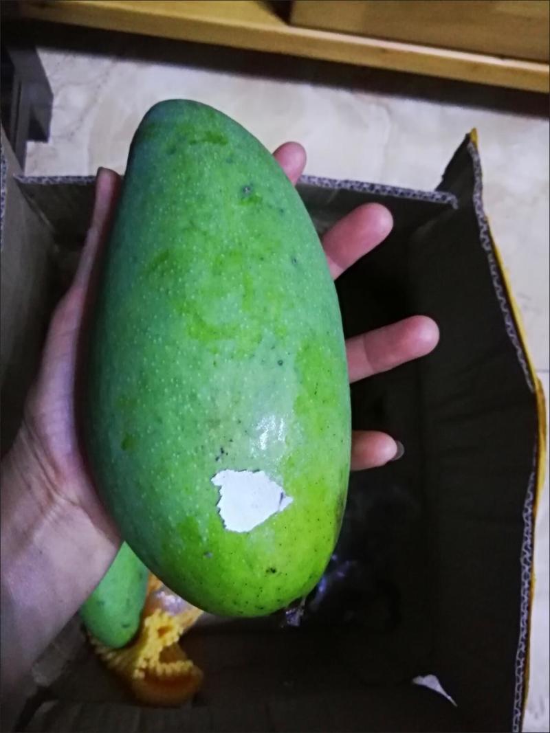 芒果一件代发