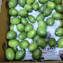 一级果