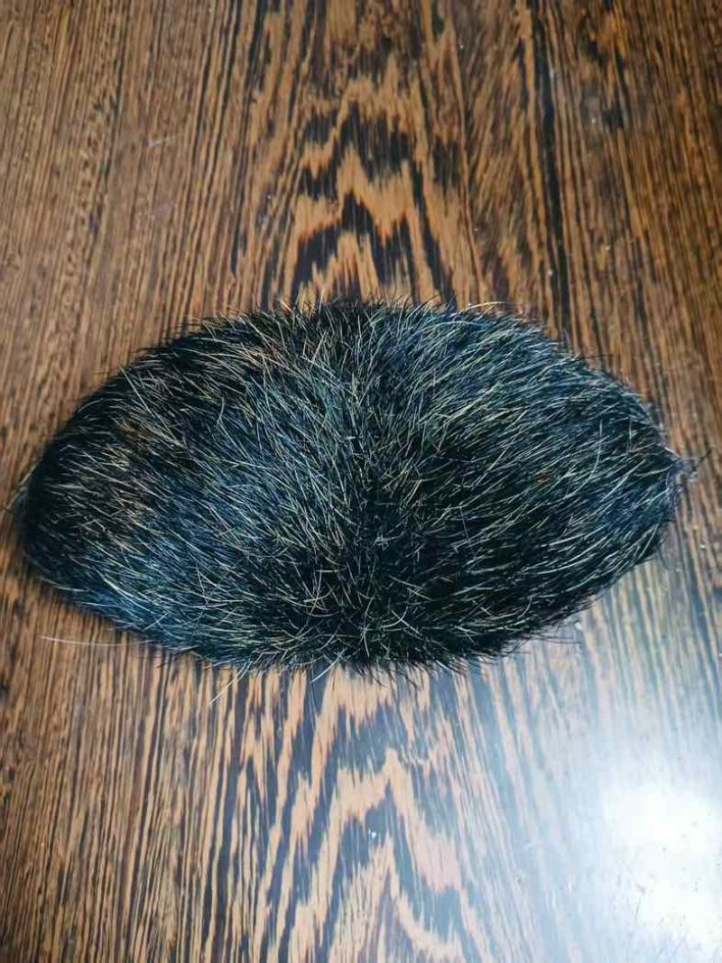 猪宝出售