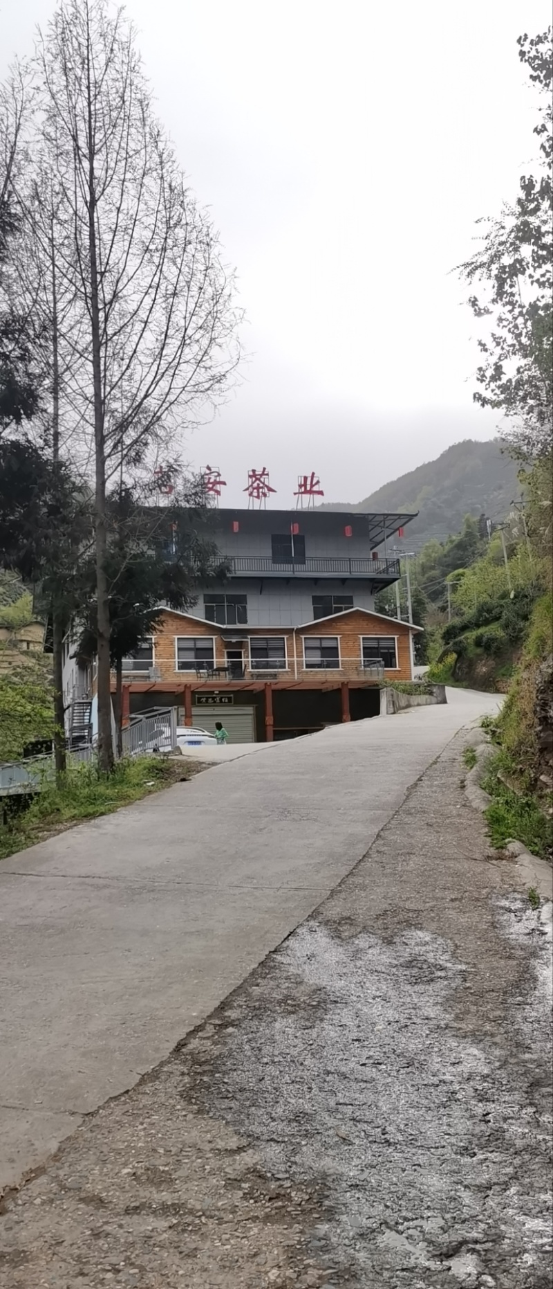 紫阳富硒茶