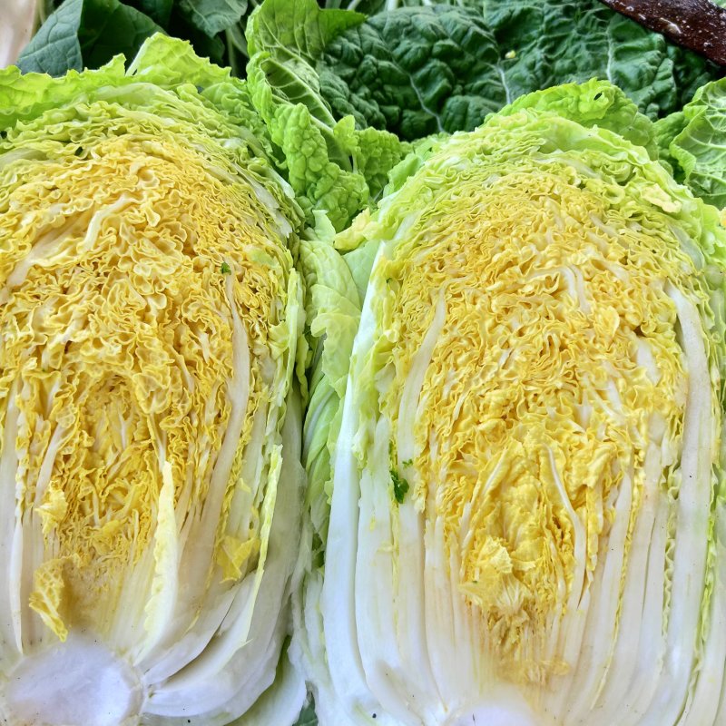 黄心大白菜，5.6.7