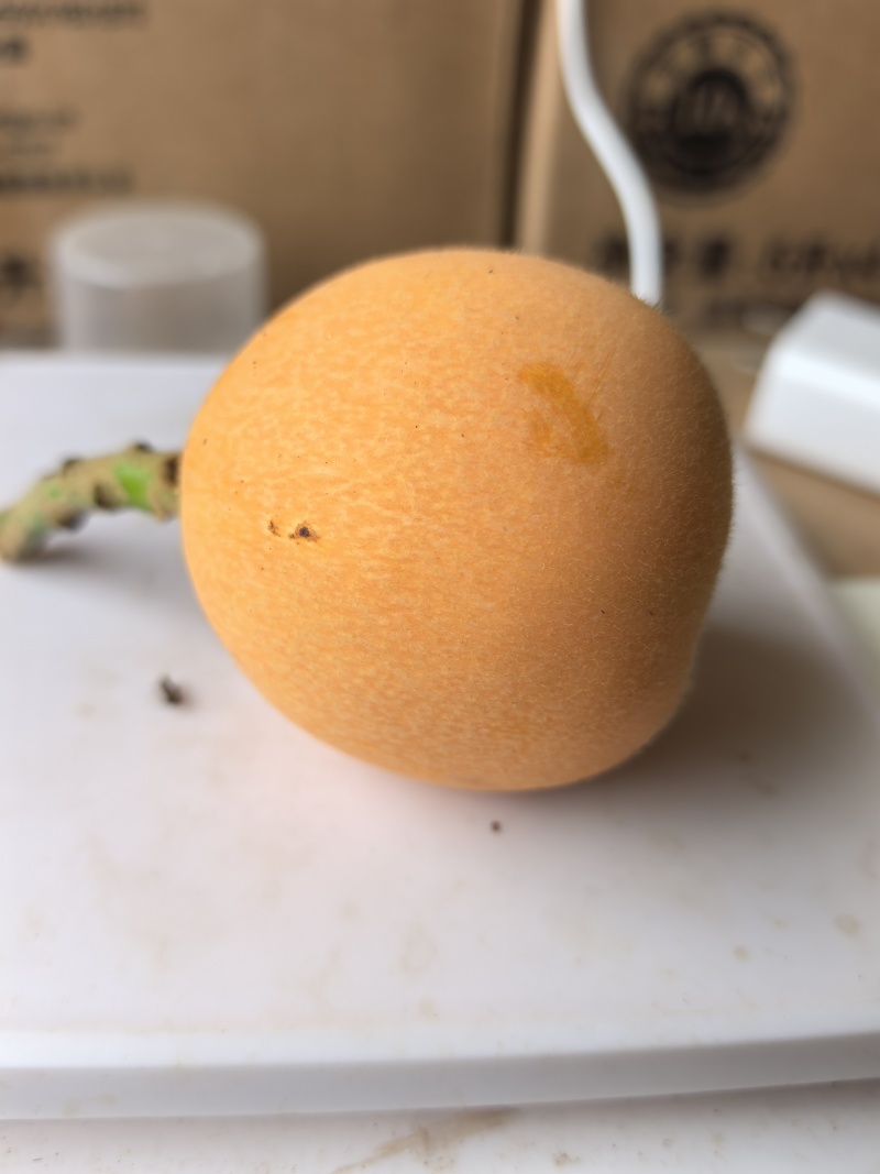 产地直销大五星枇杷