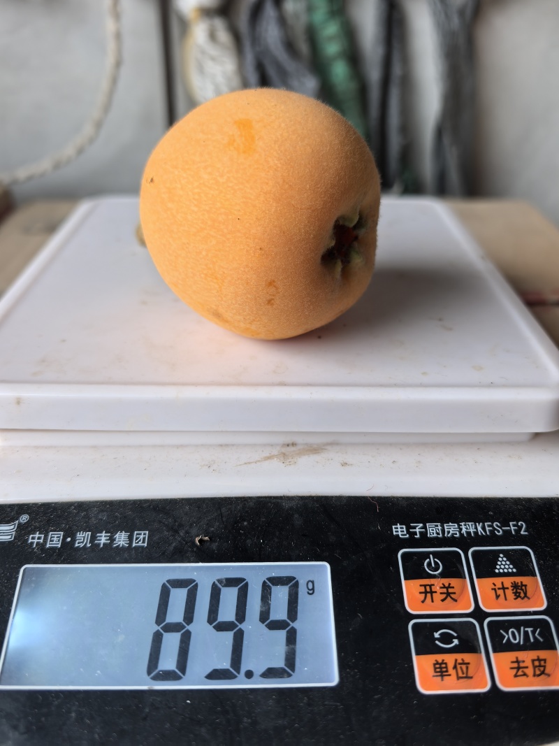 产地直销大五星枇杷
