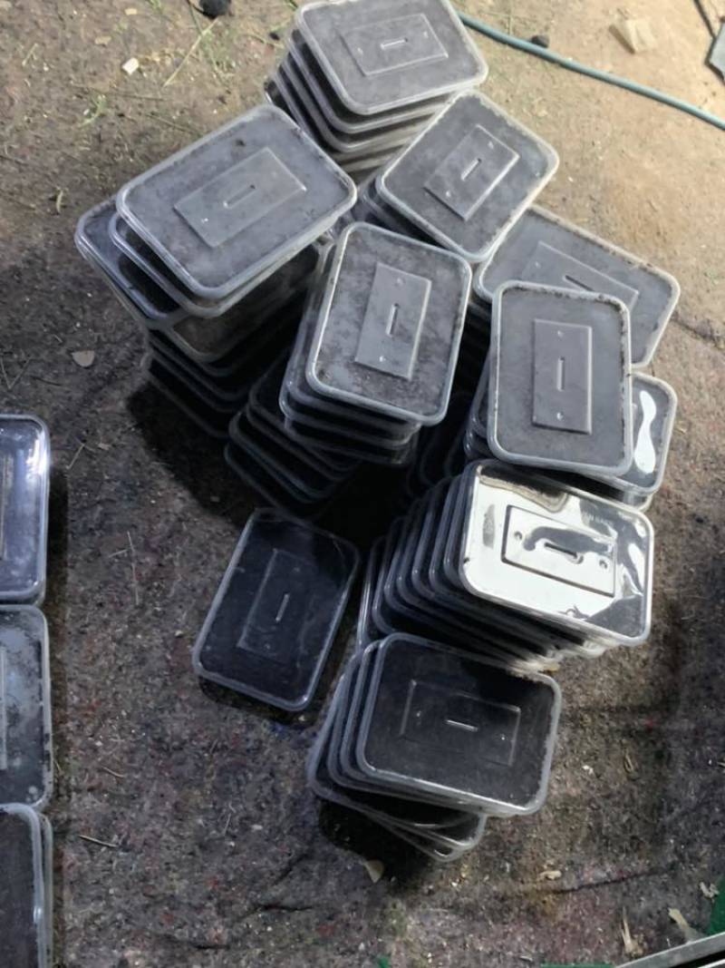 蟋蟀虫卵，出苗率高，密度高，保证质量，免费提供技术指导