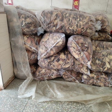 大年玉兰片