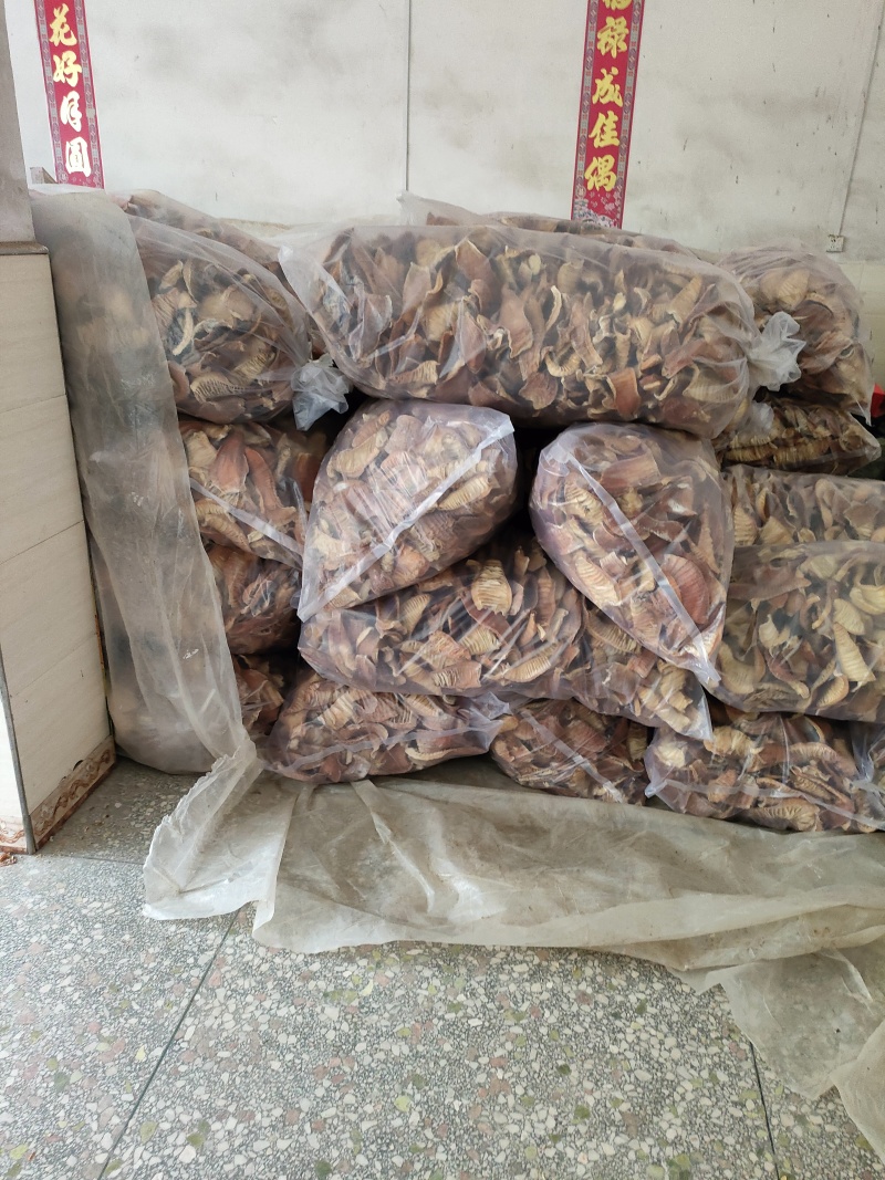 大年玉兰片