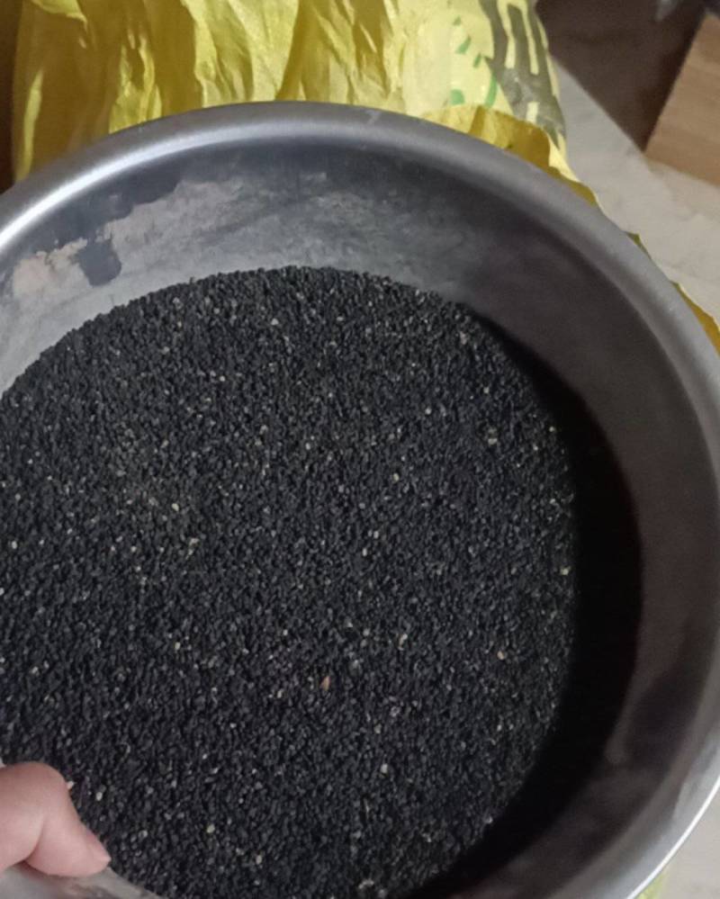 精品黄芩种子出售