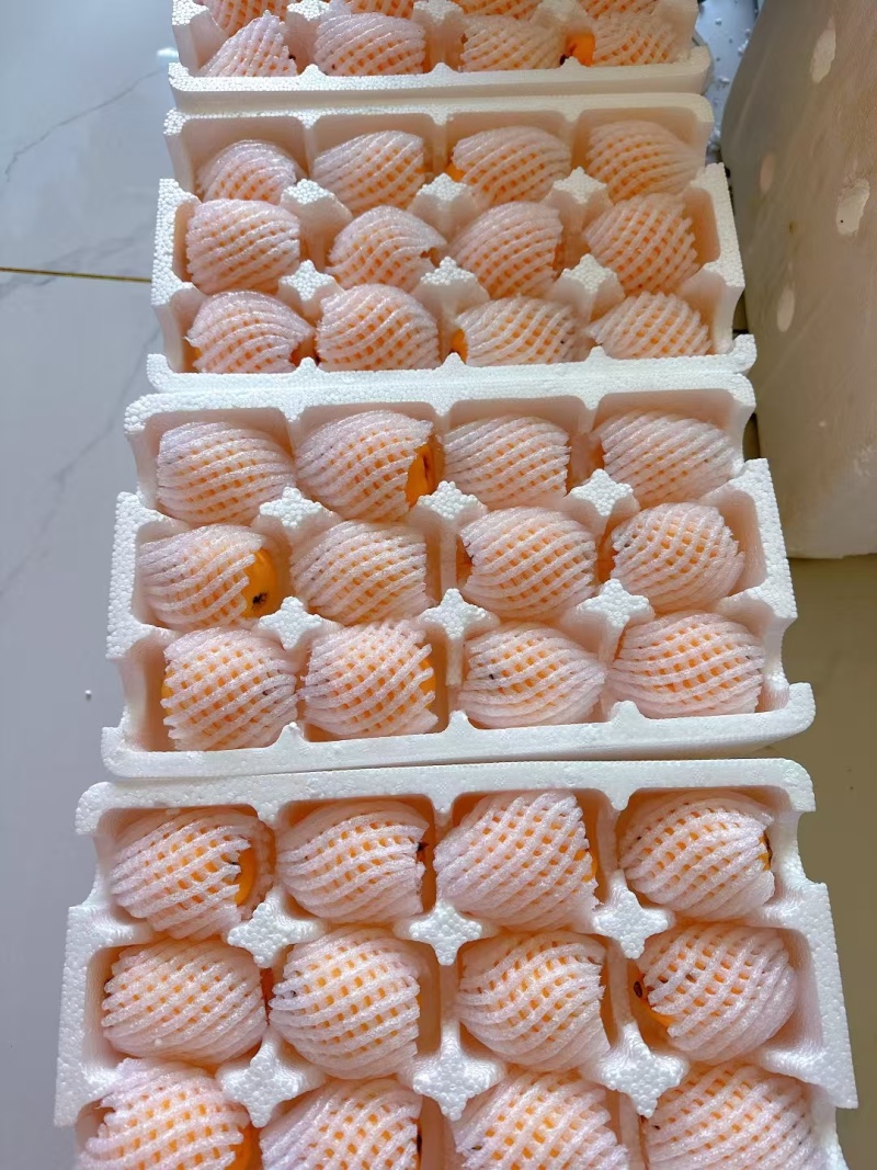 枇杷