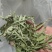 河南青色甜叶菊