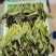 云南高原种植红叶莴笋尖，高海拔种植，直供海底捞