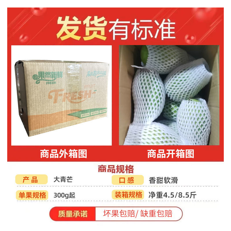 芒果一件代发