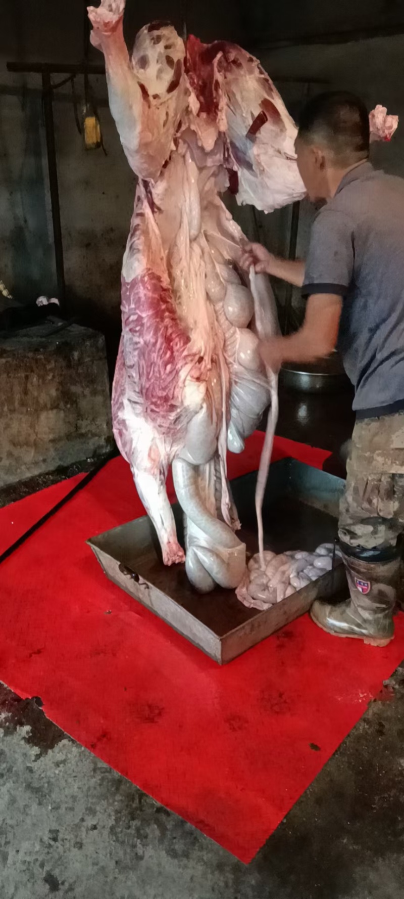 枣驴驴肉