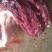 枣驴驴肉