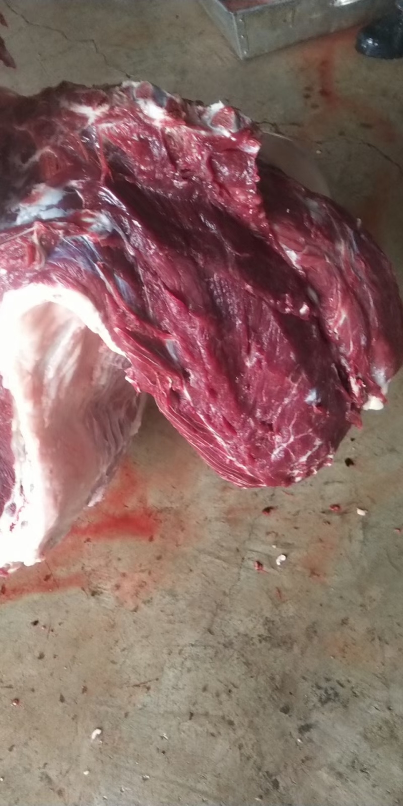枣驴驴肉