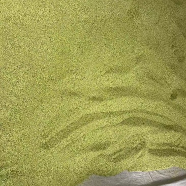 猫爪草种子