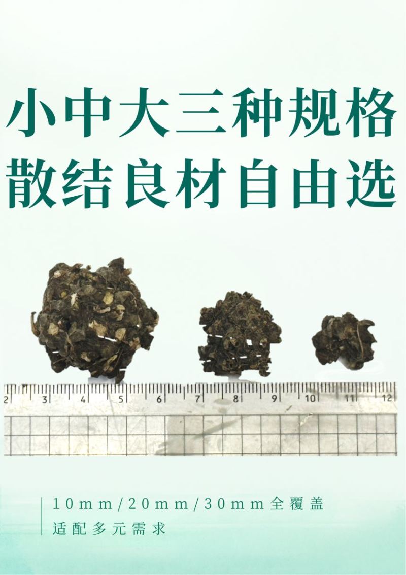 安徽阜阳猫爪草