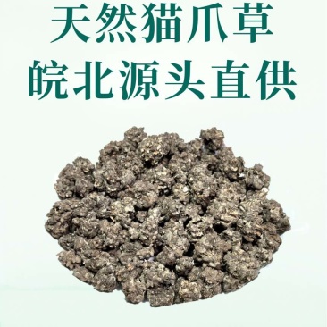 安徽阜阳猫爪草