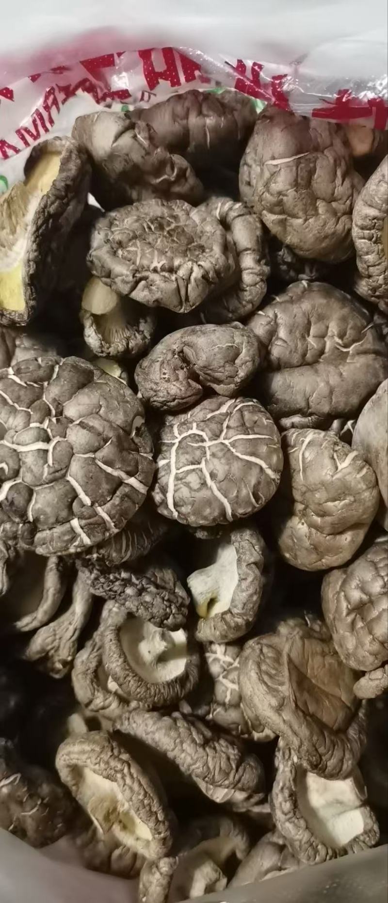 随州香菇