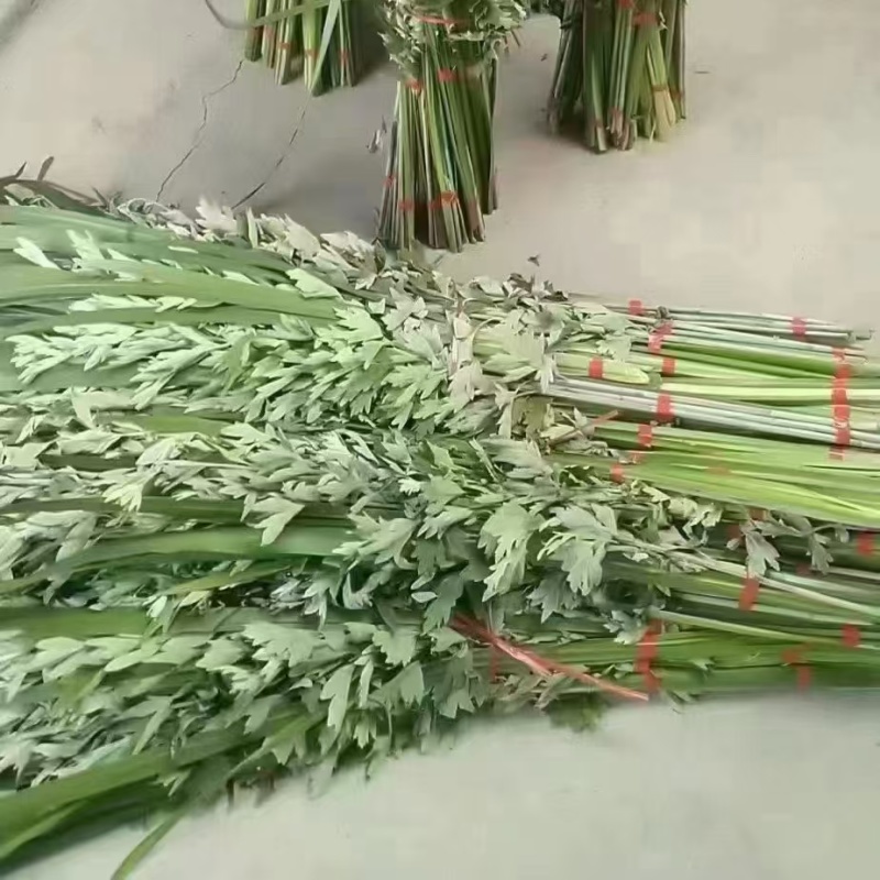 端午艾