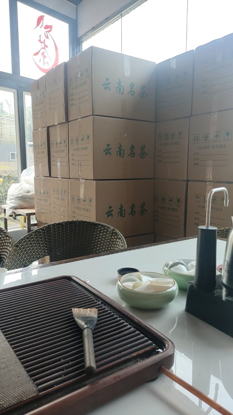 2025年荒山普洱茶