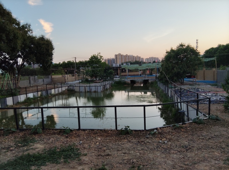 果园地出租，可做农庄***********谭生