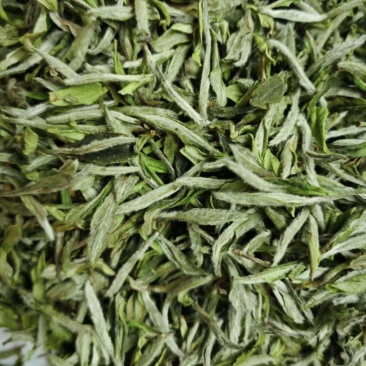 福鼎白茶.头采牡丹