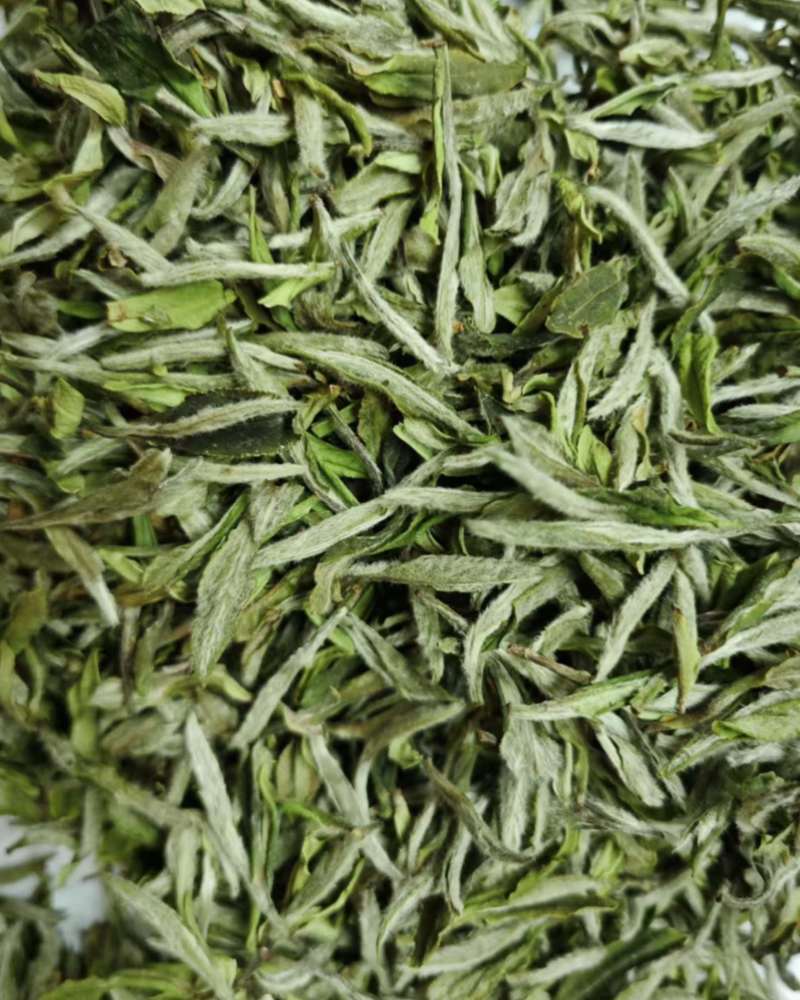 福鼎白茶.头采牡丹