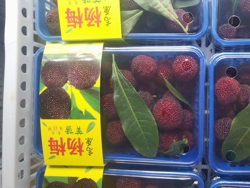 杨梅熟了哦