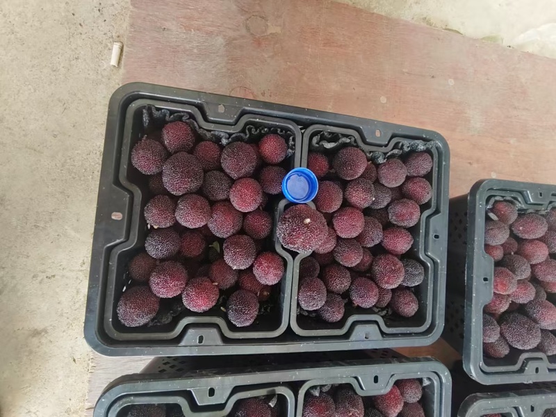市场精品货，