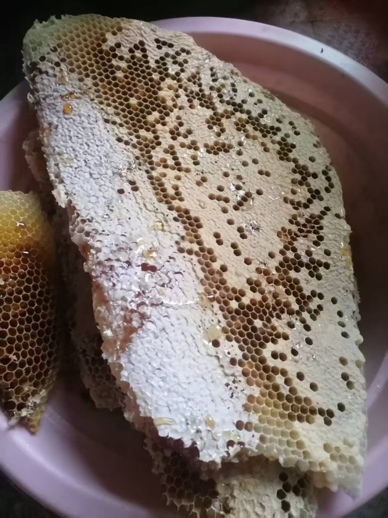 云南自家土蜜蜂出售，零售，有需要的老板的可联系