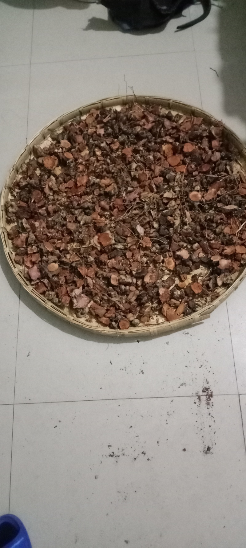金刚藤