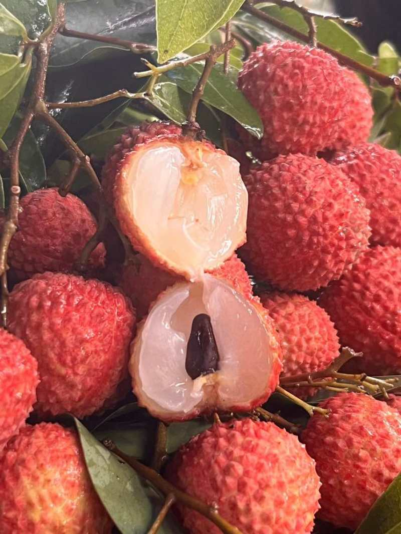 荔枝代发茂名高州糯米糍荔枝电商一件代发代办代发达人