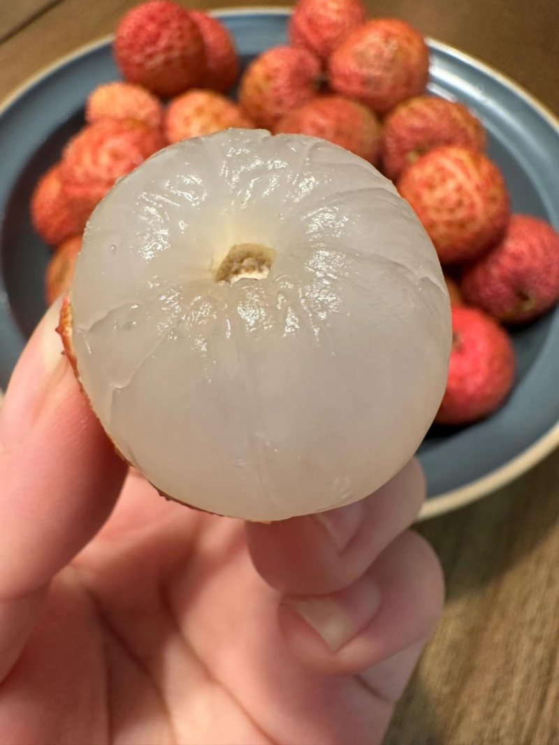 荔枝代发茂名高州糯米糍荔枝电商一件代发代办代发达人