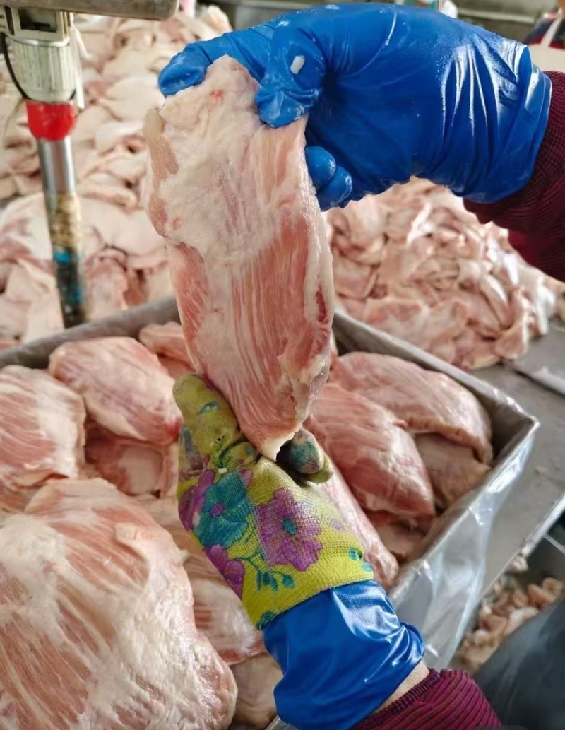 精品猪二八肉青工厂发货物流货源充足质量保证