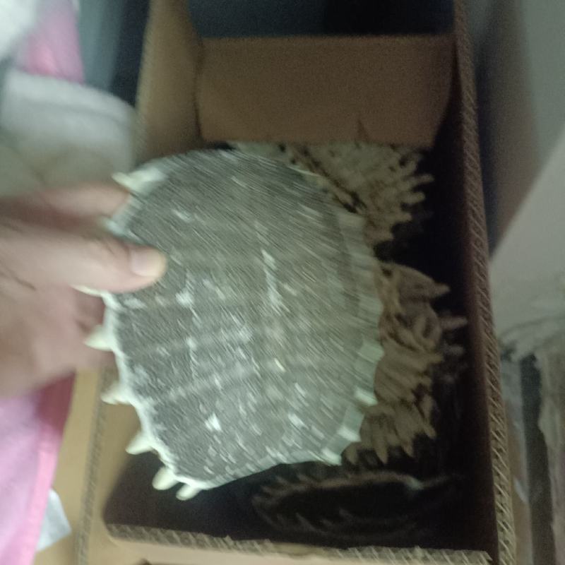 甲鱼壳