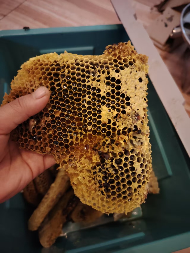 自家养的土蜂蜜