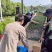 青梅
