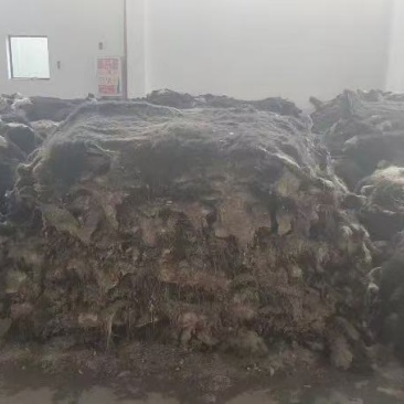 牦牛皮生皮